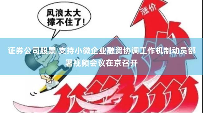 证券公司股票 支持小微企业融资协调工作机制动员部署视频会议在京召开
