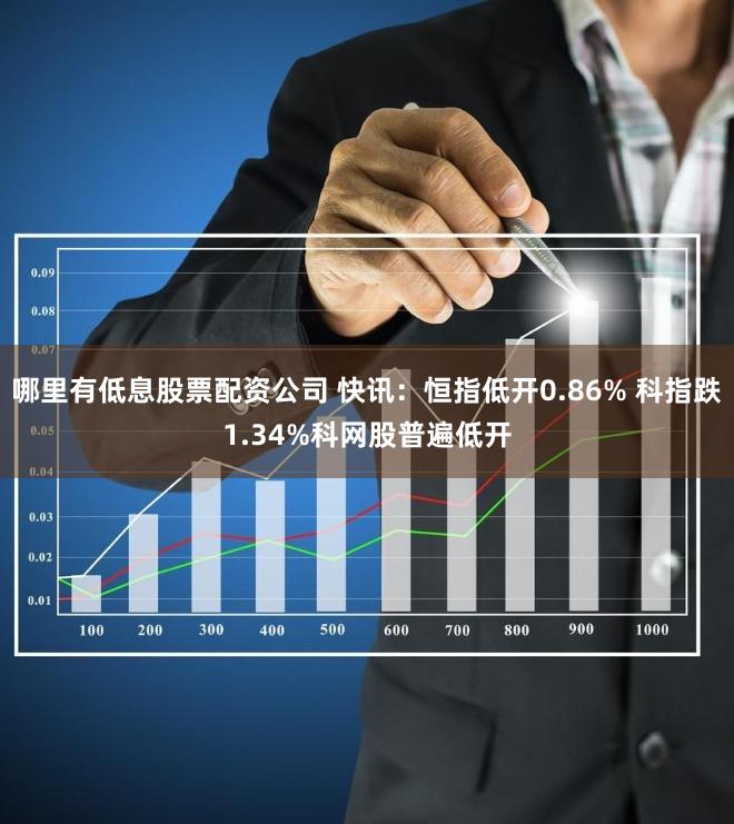 哪里有低息股票配资公司 快讯：恒指低开0.86% 科指跌1.34%科网股普遍低开