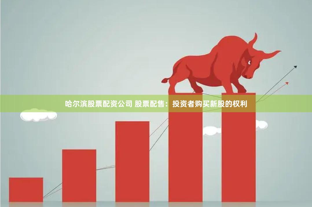哈尔滨股票配资公司 股票配售：投资者购买新股的权利