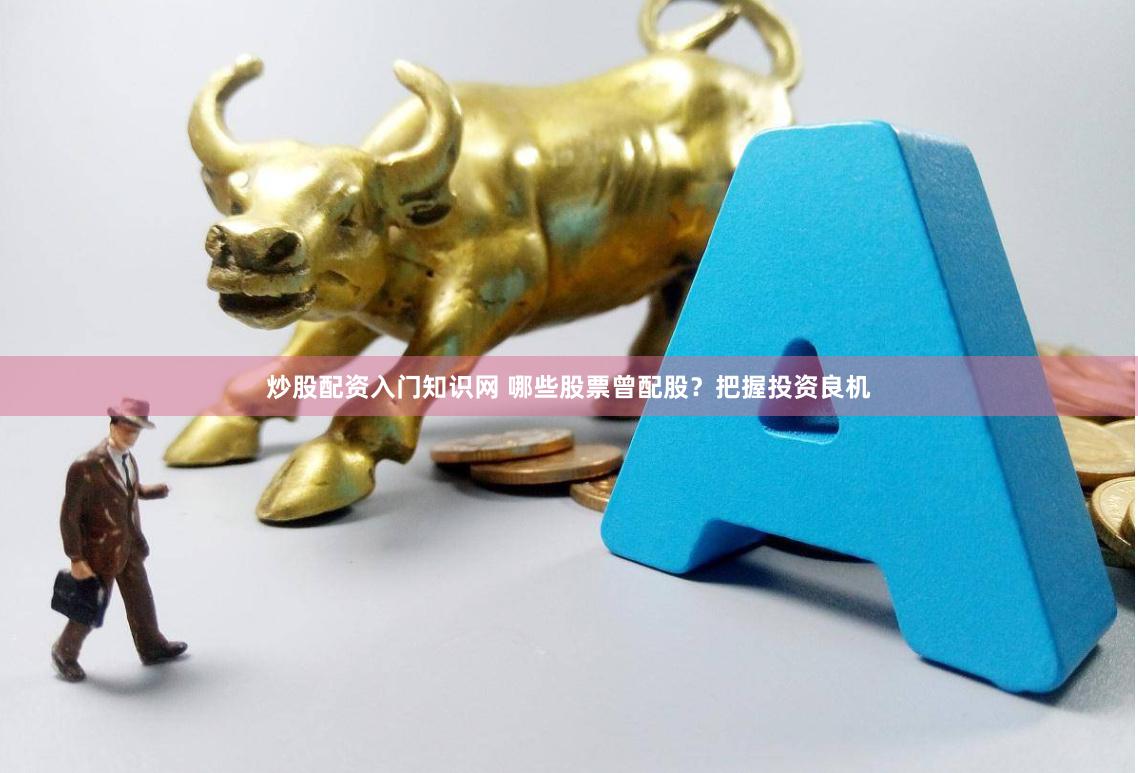 炒股配资入门知识网 哪些股票曾配股？把握投资良机